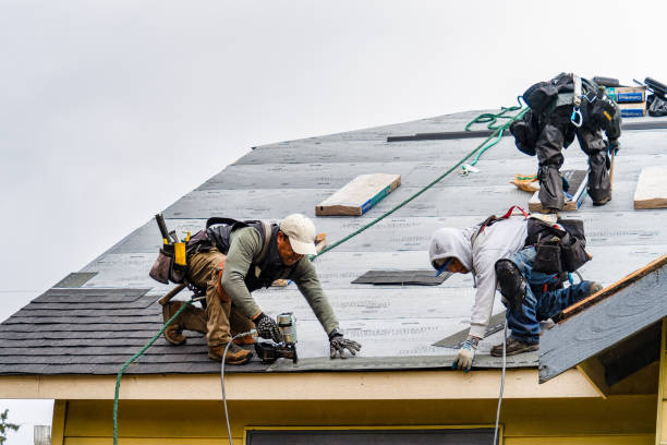 Professional Roofing technician working in Erin, NY